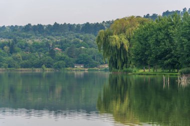Nehirde güneşli bir gün Sahilde yeşil ağaçlar.
