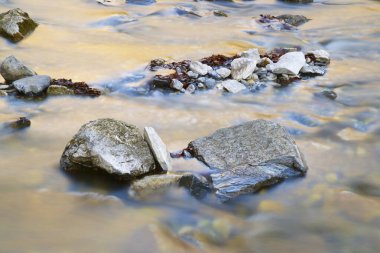 Lescun Sirki 'ndeki nehir müfrezesi, Fransa' daki Aspe Vadisi
