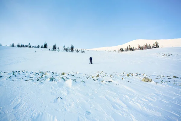 Tourist Wild Snow Storm Despair Lost His Way Ural Winter — Stock Photo, Image