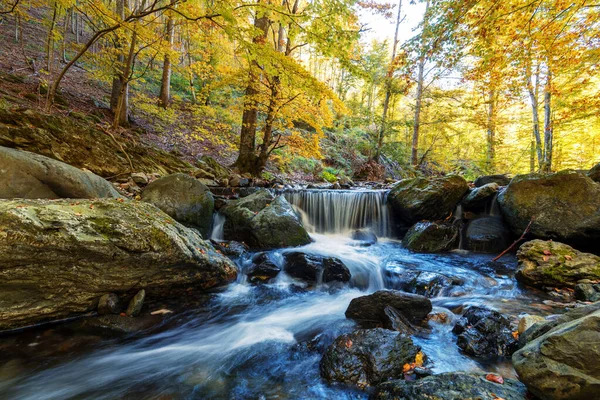 Belle Vue Sur Une Rivière Avec Une Cascade Dans Forêt — Photo