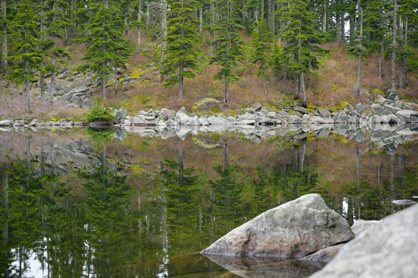 Arbres Roches Qui Reflètent Dans Lac Alpin — Photo