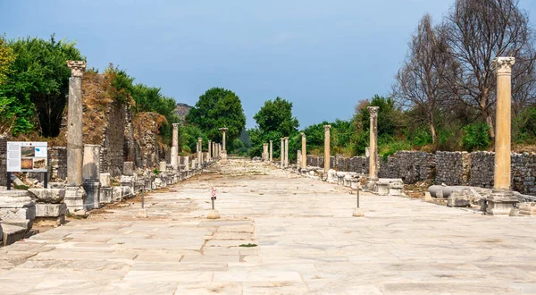 Efeso Turquía 2019 Puerto Calle Arcadian Éfeso Antiguo Día Soleado —  Fotos de Stock