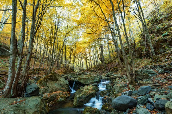 Belle Vue Sur Une Rivière Avec Une Cascade Dans Forêt — Photo