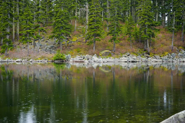 Träd Som Reflekteras Fjällsjö Med Regndroppar — Stockfoto