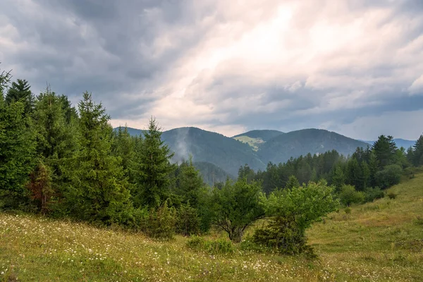 Grüne Hügel Rund Den Vacha Staudamm Rhodopen Plowdiwer Gebiet Bulgarien — Stockfoto