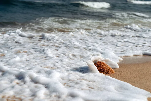 Beach texture. Golden sand and sea foam pattern.