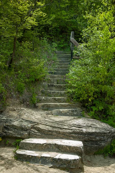 Βήματα Τραχιά Rock Trail Στο Δάσος — Φωτογραφία Αρχείου