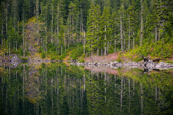 Árvores Refletindo Lago Montanha — Fotografia de Stock