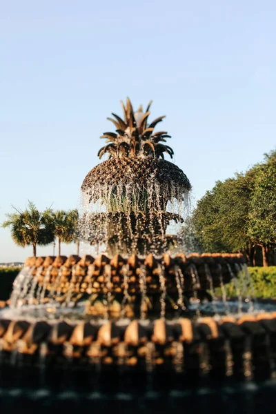 Fuente Piña Charleston Carolina Del Sur — Foto de Stock
