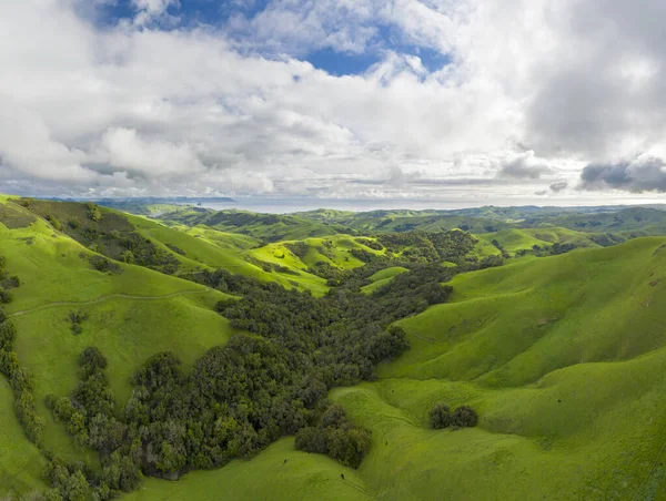Zielone Wzgórza Toczenia Sielankowa Scena Kalifornii Heavy Spri — Zdjęcie stockowe