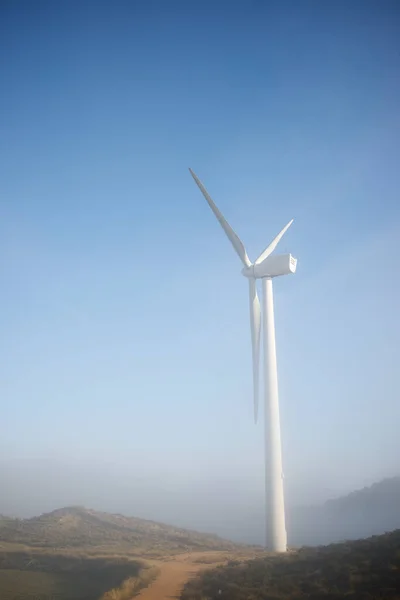 Wind turbine for sustainable electric energy production in Spain.