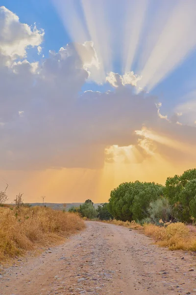 Hermoso Paisaje Camino Con Árboles Los Lados Sol Detrás Las — Foto de Stock