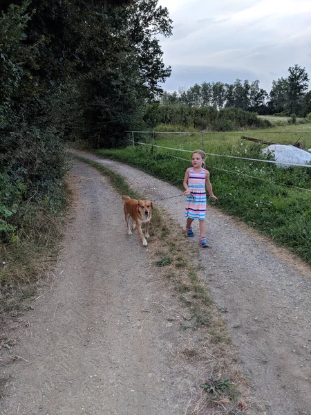 Счастливая Девушка Гуляет Своей Собакой Сельской Дороге — стоковое фото