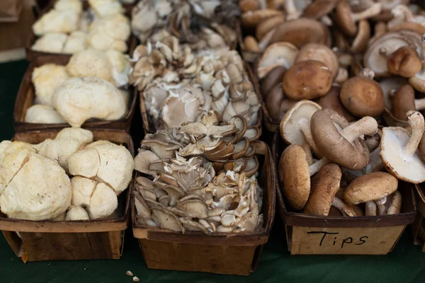 Organic mushrooms at farmer\'s market