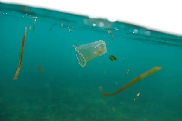 Old Plastic Cup Littering Ocean Surface — Stock Photo, Image