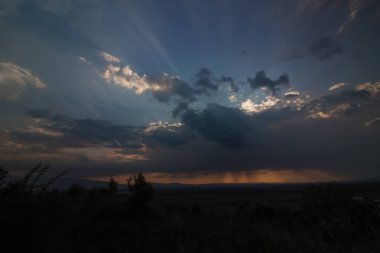 Saklı güneşin gülleri.