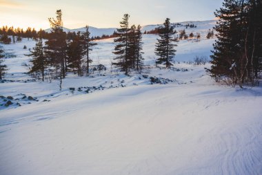 Urallar kış dağı manzarası. Rusya.
