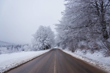 Ormandan geçen dağ yolu..
