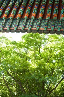 Güney Kore 'deki Budist tapınağında saçaklar.