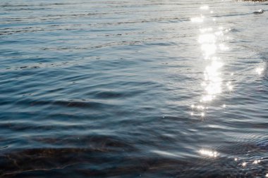 desenli mavi deniz suyu güneş ışığında parlıyor.