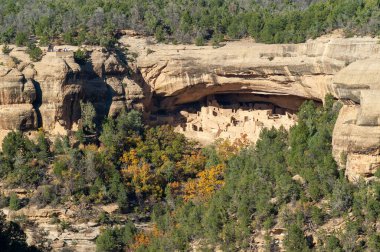 Mesa Verde Kayalıkları Colorado 'da