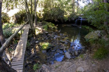 Ormanın ortasındaki şelaleden gelen tahta köprü Covaleda, Soria, İspanya 'daki şelale rotasında.