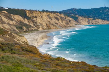 California Torrey Çamları Okyanus Manzaraları