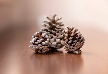 Ev partileri için boyanmış ve süslenmiş ananaslar.