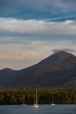 Queensland 'deki Cairns' in hemen dışında demirlemiş yelkenliler.