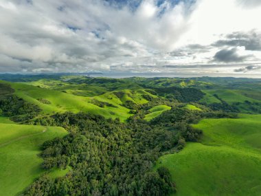 Heavy Spri 'den sonra Kaliforniya' da Green Rolling Hills Idyllic Scene
