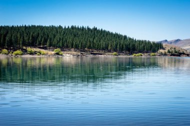 Arjantin 'in Neuqun eyaletinde göl, çam ve dağlar. 