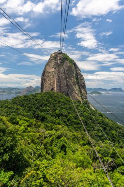 Sugar Loaf Dağı 'ndan yeşil yağmur ormanlarına ve şehir manzarasına güzel bir manzara, Rio de Janeiro, Brezilya