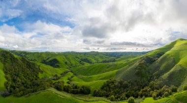 Heavy Spri 'den sonra Kaliforniya' da Green Rolling Hills Idyllic Scene