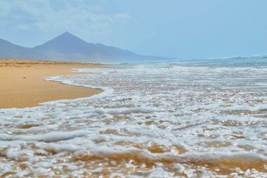 Kahve sahilinin harika manzarası. Sahilde dalgalar var. Fuerteventura, Kanarya Adaları, İspanya 'da.