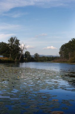 Lika Nehri 'nin arka planında nilüferler ve dağlar var.