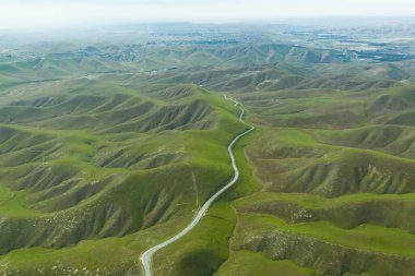 Heavy Spri 'den sonra Kaliforniya' da Green Rolling Hills Idyllic Scene