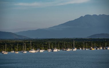 Queensland 'deki Cairns' in hemen dışında demirlemiş yelkenliler.