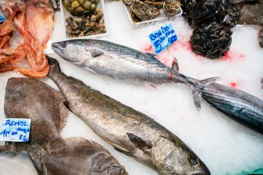 Mercado La Boqueria Pazarı 'nda taze balık, istiridye ve karides.