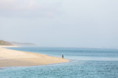 Sahilde gezinen yetişkin bir adamın arka görüntüsü.