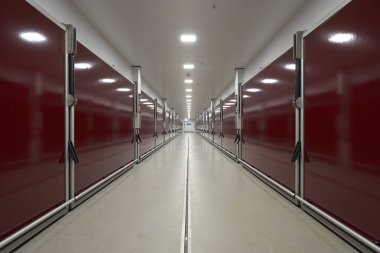 Modern bir kümes hayvanı fabrikasında büyük bir koridor.