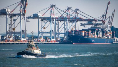 Brisbane limanından geçen bir römorkör.