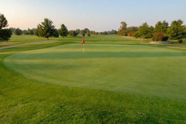 Golf Sahası, Yeşiller ve Çimenler