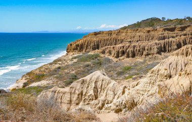 California Torrey Çamları Okyanus Manzaraları