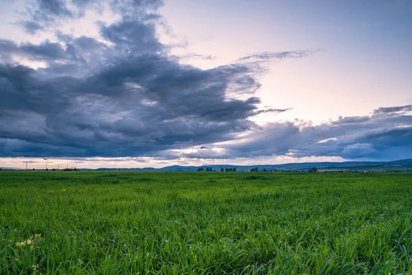 Виразне Зелене Поле Розкішному Заході Сонця Барвистий Панорамний Пейзаж — стокове фото