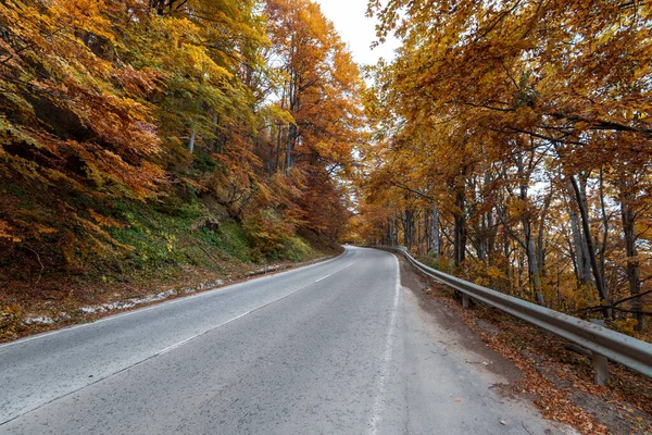 Camino Otoño Hermoso Paisaje Otoño Brillante Carretera Hojas Rojas Los —  Fotos de Stock