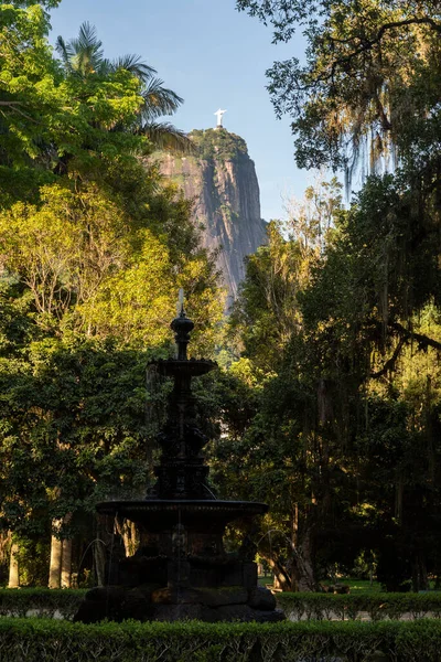 Siyah Çeşmesine Güzel Manzara Corcovado Dağı Botanik Bahçeleri Nden Heykeli — Stok fotoğraf