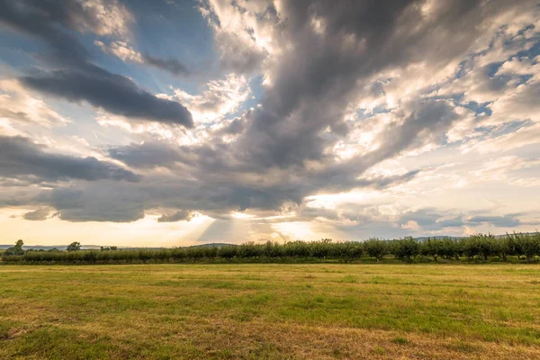 Zahrada Ovocnými Stromy Východem Slunce Široká Fotografie — Stock fotografie