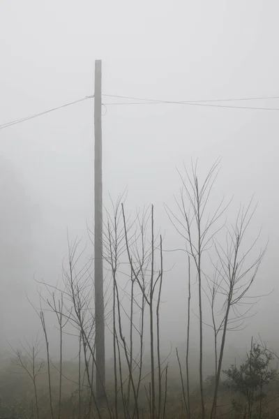 Linha Energia Entre Nevoeiro Província Zaragoza Espanha — Fotografia de Stock