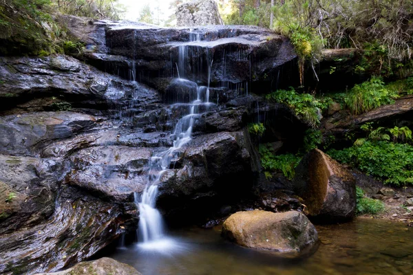 Cascada Medio Del Bosque Ruta Las Cascadas Covaleda Soria España —  Fotos de Stock