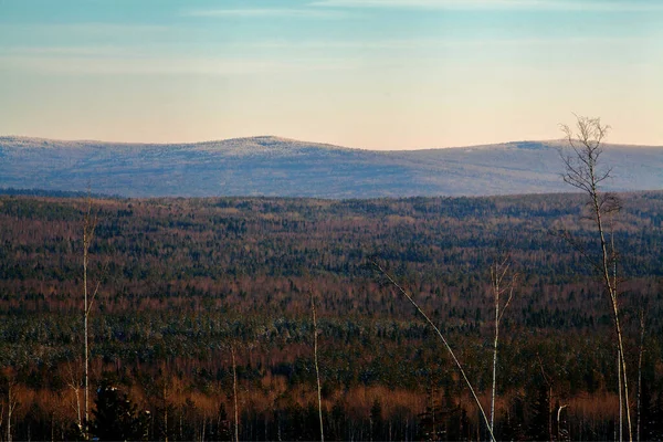 Producción Forestal Ural Invierno Bosque Paisaje — Foto de Stock